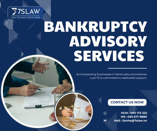 Bankruptcy Advisory Services at 7S Law